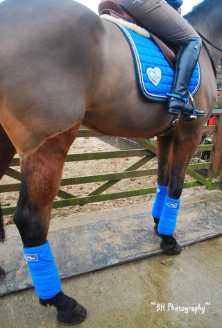 Lisa Smith's View on the Eskadron Range