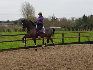 GP rider Jayne Lancashire shares her New Year Plan with her horses....