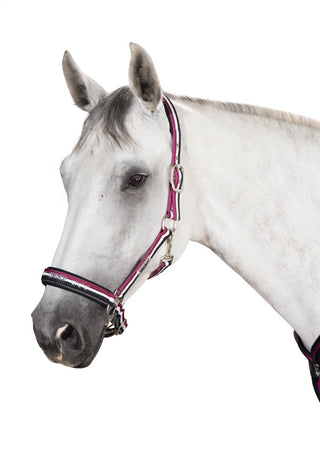 Eskadron NG 15 Double Pin Headcollar Berry / White / DarkBasalt - Divine Equestrian