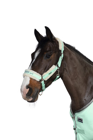 Eskadron Classic SS18 Pin Buckle Glossy Faux Fur Headcollar - Jade - Divine Equestrian