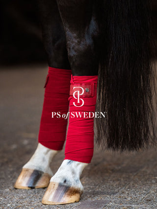 PS of Sweden STARDUST Limited Edition Bandages- DARK RED