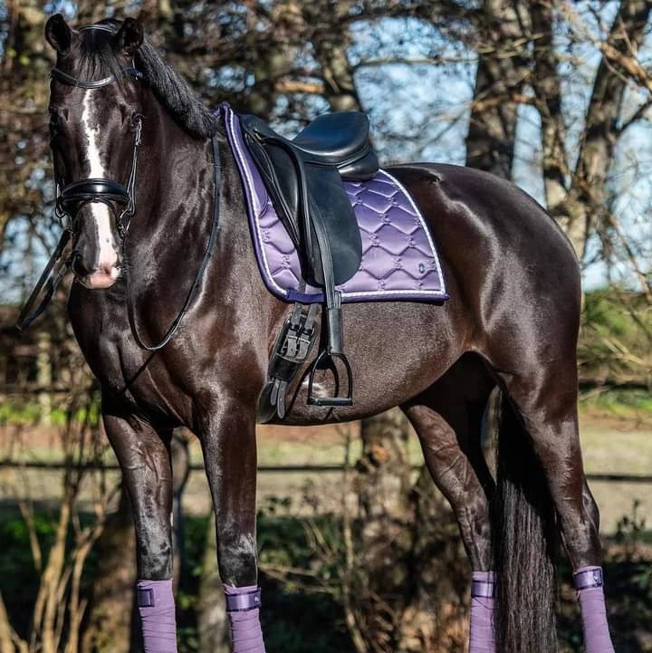 NEW PS of Sweden Signature Jump Saddle Pad Full Faded Rose Berry