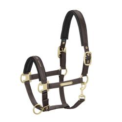 Eskadron Heritage Double Pin Glossy Headcollar - Deeptaupe - Divine Equestrian