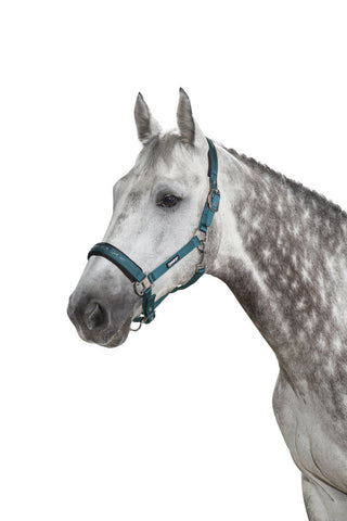 Eskadron Classic AW19 Double Pin Glossy Headcollar - Tealblue - Divine Equestrian